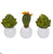 Silk Plants Direct Artichoke and Cactus Artificial Plant - Pack of 1