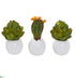 Silk Plants Direct Artichoke and Cactus Artificial Plant - Pack of 1