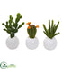 Silk Plants Direct Mix Succulent Artificial Plant - Pack of 1