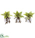 Silk Plants Direct Dusty Succulent Artificial Plant - Pack of 1