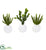 Silk Plants Direct Cactus Succulent Artificial Plant - Pack of 1