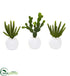 Silk Plants Direct Cactus Succulent Artificial Plant - Pack of 1