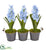 Silk Plants Direct Triple Potted Hyacinth Artificial Plant - Pack of 1