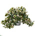 Silk Plants Direct Hoya Artificial Plant - Pack of 1