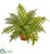 Silk Plants Direct Hares Foot Fern Artificial Plant - Pack of 1
