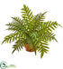 Silk Plants Direct Hares Foot Fern Artificial Plant - Pack of 1