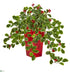 Silk Plants Direct Variegated Holly with Berries Artificial Plant - Pack of 1