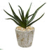 Silk Plants Direct Aloe Artificial Plant - Pack of 1