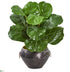 Silk Plants Direct Fiddle Leaf Artificial Plant - Pack of 1