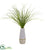 Silk Plants Direct Curly Grass Artificial Plant - Pack of 1