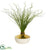 Silk Plants Direct Curly Grass Artificial Plant - Pack of 1