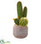 Silk Plants Direct Cactus Artificial Plant - Pack of 1