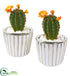 Silk Plants Direct Flowering Cactus Artificial Plant - Pack of 1