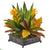 Silk Plants Direct Bromeliad, Croton and Sansevieria Artificial Plant - Pack of 1