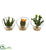 Silk Plants Direct Mixed Succulent Artificial Plant - Pack of 1