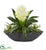 Silk Plants Direct Bromeliad and Succulent Artificial Plant - Pack of 1