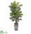 Silk Plants Direct Areca Palm Artificial Plant - Pack of 1