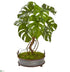 Silk Plants Direct Monstera Artificial Plant - Pack of 1