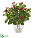Silk Plants Direct Variegated Holly Leaf Artificial Plant - Pack of 1