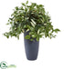 Silk Plants Direct Florida Beauty Artificial Plant - Pack of 1
