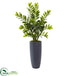 Silk Plants Direct Zamioculcas Artificial Plant - Pack of 1