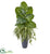 Silk Plants Direct Spider and Pothos Artificial Plant - Pack of 1