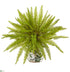 Silk Plants Direct Fern Artificial Plant - Pack of 1