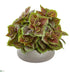 Silk Plants Direct Coleus Artificial Plant - Pack of 1