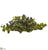 Silk Plants Direct Grape Leaf Artificial Ledge Plant - Pack of 1