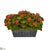 Silk Plants Direct Kalanchoe Artificial Plant - Orange - Pack of 1