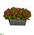 Silk Plants Direct Kalanchoe Artificial Plant - Orange - Pack of 1