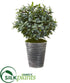 Silk Plants Direct Olive with Berries Artificial Plant - Pack of 1