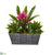 Silk Plants Direct Bromeliad and Agave Artificial Plant - Red - Pack of 1