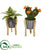 Silk Plants Direct Mixed Succulent Artificial Plant in Tin Planter with Legs - Pack of 2