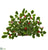 Silk Plants Direct Variegated Holly with Berries Artificial Ledge Plant - Pack of 1