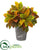 Silk Plants Direct Garden Croton Artificial Plant in Planter with Black Pattern - Pack of 1