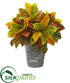 Silk Plants Direct Garden Croton Artificial Plant in Planter with Black Pattern - Pack of 1