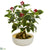 Silk Plants Direct Variegated Holly Leaf Artificial Plant in Gold and Cream Elegant Vase - Pack of 1