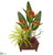 Silk Plants Direct Bird of Paradise, Succulent and Fern Artificial Plant - Pack of 1