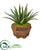 Silk Plants Direct Aloe Artificial Plant - Pack of 1