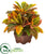 Silk Plants Direct Garden Croton Artificial Plant in Decorative Planter - Pack of 1