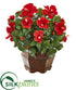 Silk Plants Direct Hibiscus Artificial Plant - Pack of 1