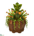 Silk Plants Direct Succulent Garden Artificial Plant - Pack of 1