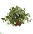 Silk Plants Direct Florida Beauty Artificial Plant - Pack of 1