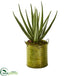 Silk Plants Direct Aloe Artificial Plant - Pack of 1