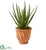 Silk Plants Direct Aloe Artificial Plant - Pack of 1