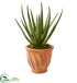 Silk Plants Direct Aloe Artificial Plant - Pack of 1