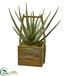 Silk Plants Direct Aloe Artificial Plant - Pack of 1