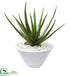 Silk Plants Direct Aloe Artificial Plant - Pack of 1