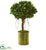 Silk Plants Direct Ficus Artificial Tree - Pack of 1